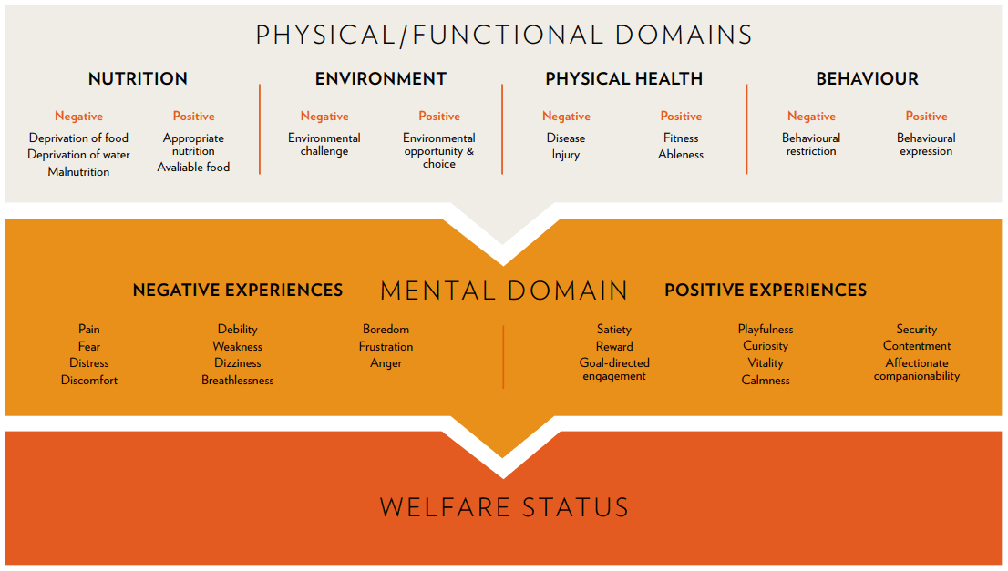 5 domains of welfare (c) WAZA.png
