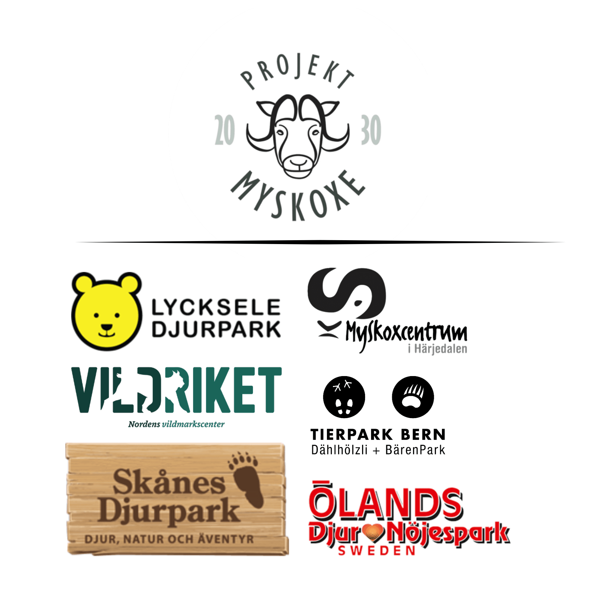 CDS 2025 06 - Muskox logo.png