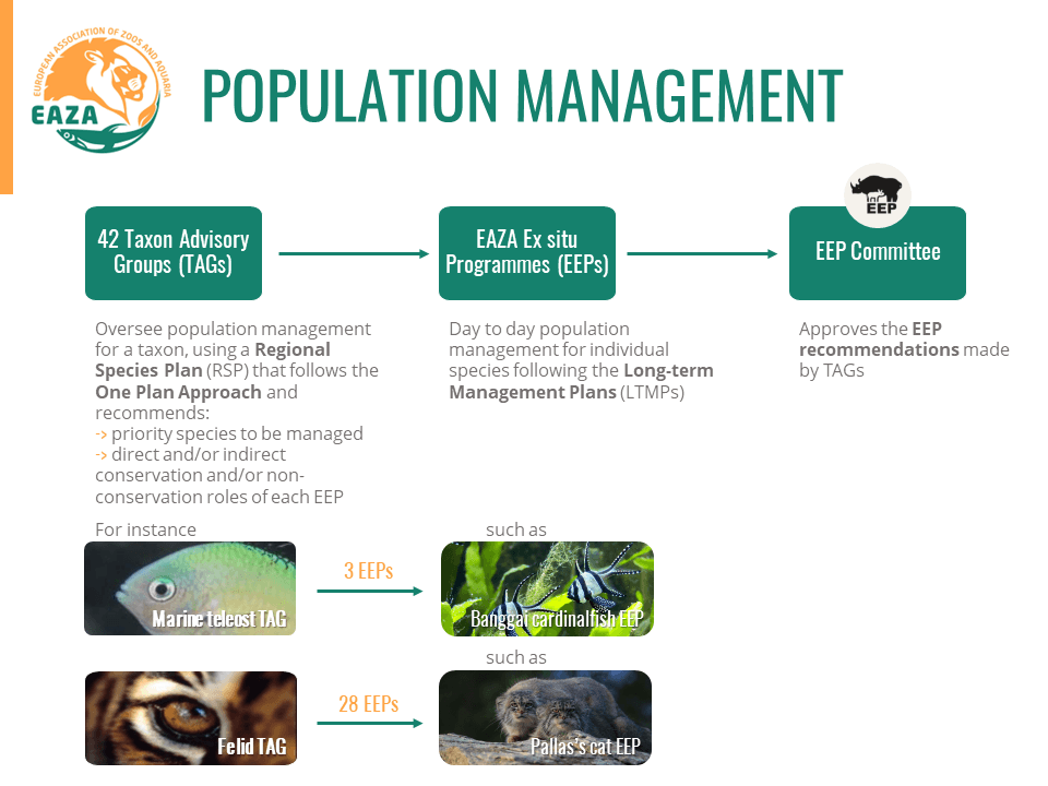 EAZA Population Management new.png