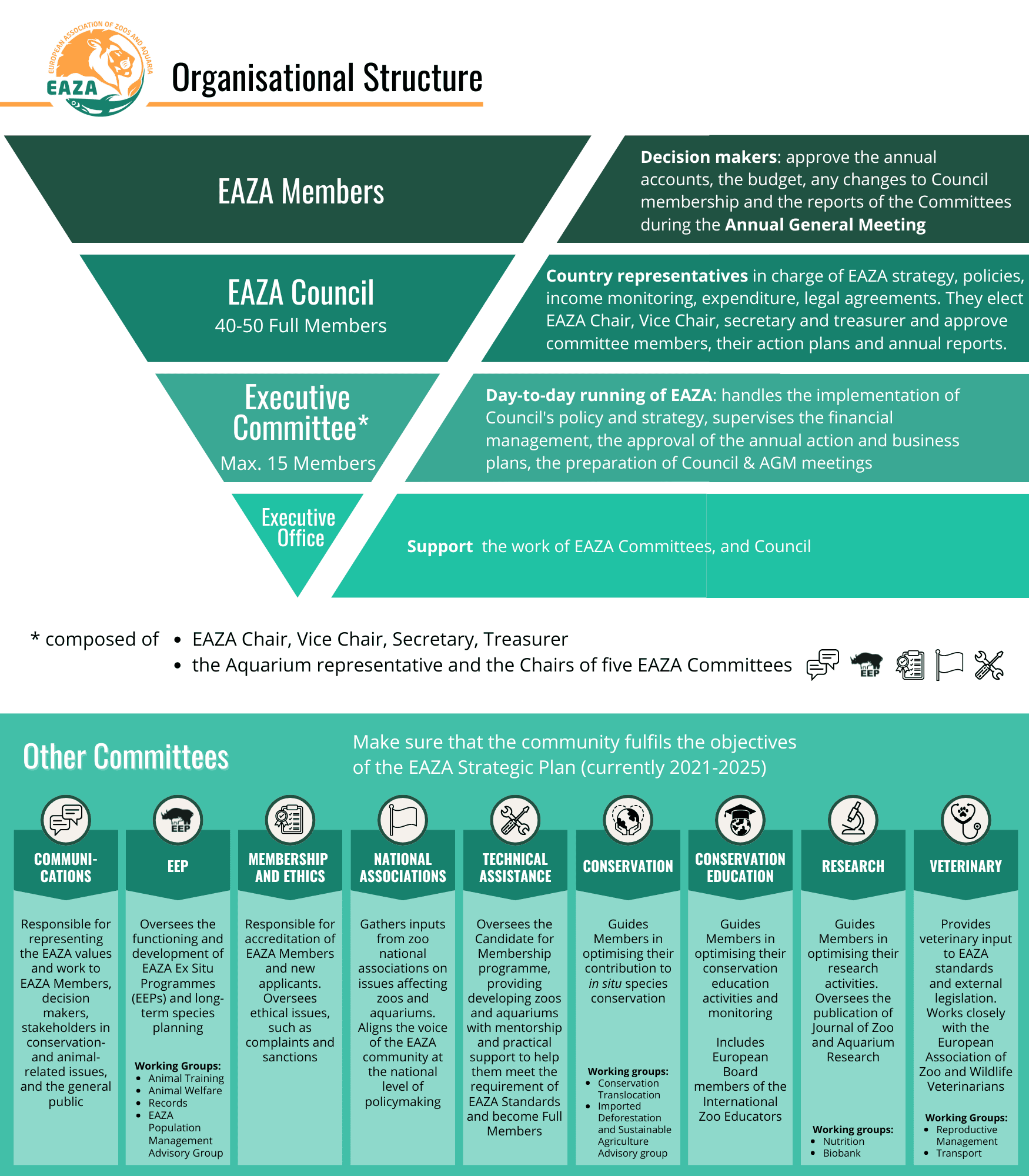 EAZA structure 2024-09-17.png