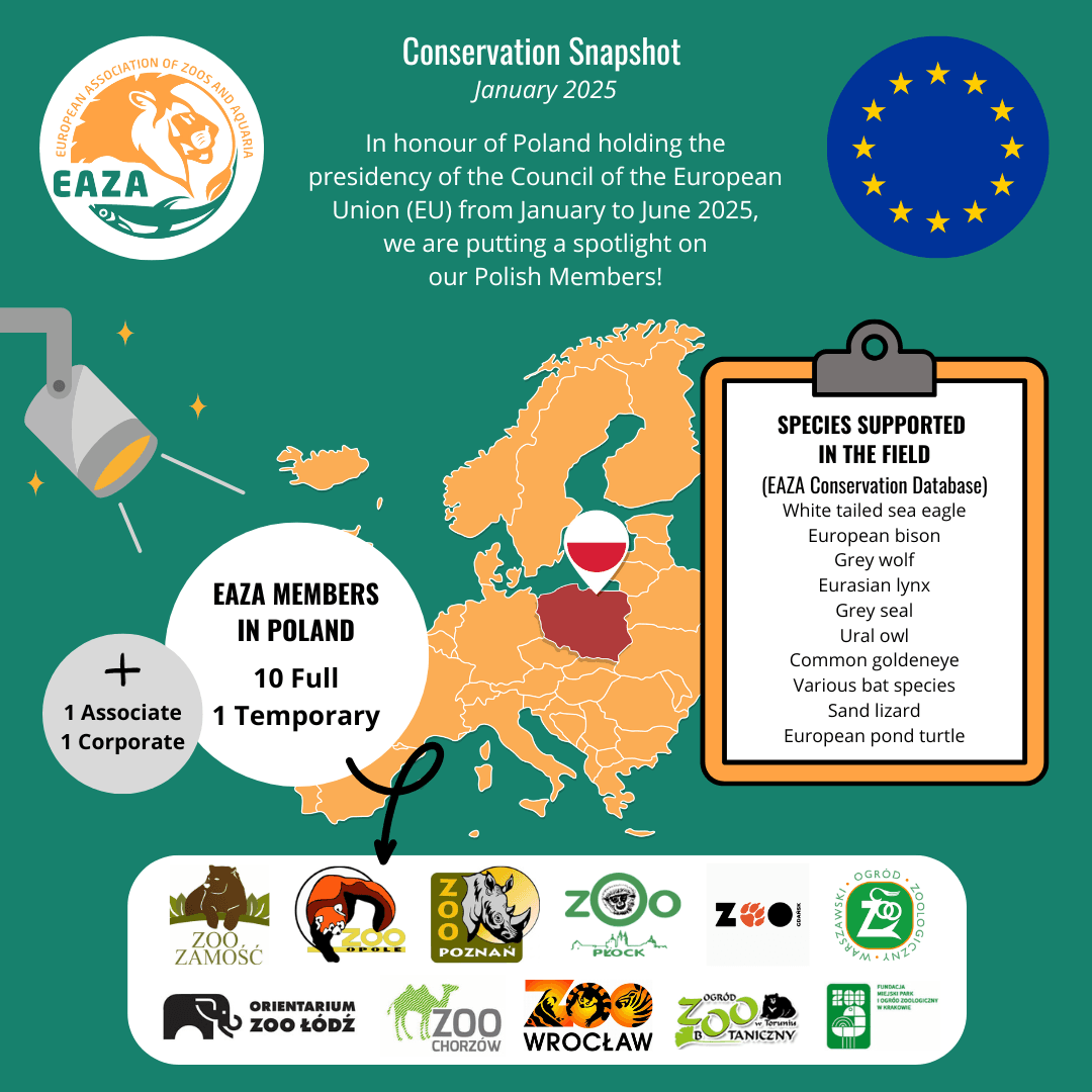 ECD Snapshot January 2025 final.png