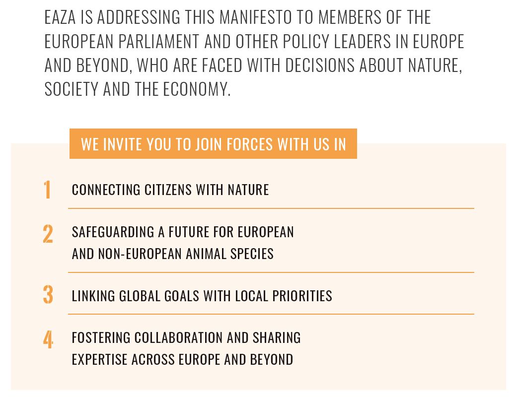 manifesto 4 actions.jpg